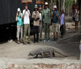 Hari ini Taman Nasional (TN) Komodo naik dari Rp75 ribu menjadi Rp3,75 juta (foto/detik)